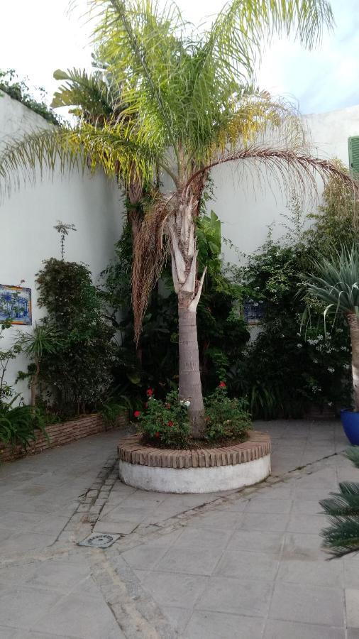 Gravina Comfort Tarifa Kültér fotó